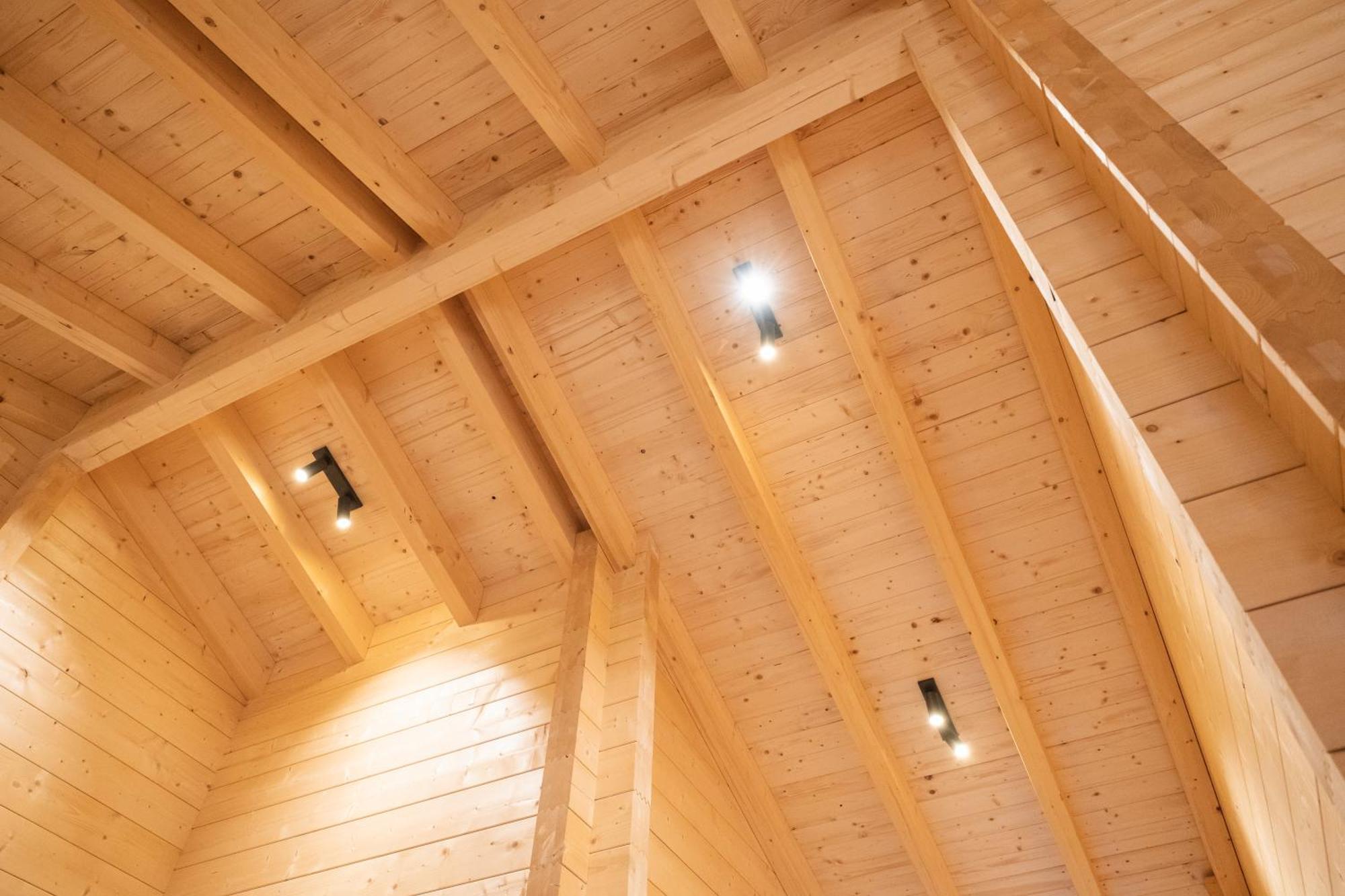 Netten Naturerlebnis Holz-Chalets Даун Экстерьер фото